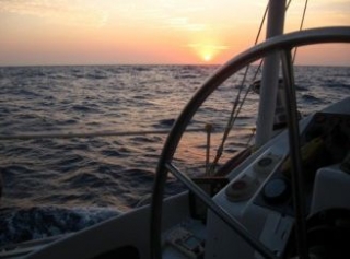 Boat Trips 